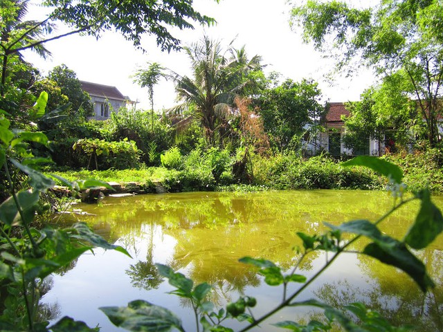 Xây nhà trên đất có ao nếu không đúng hướng hoặc không hóa giải, sẽ ảnh hưởng đến sức khỏe, tài vận của gia chủ- Ảnh 5. Xây nhà trên đất có ao nếu không đúng hướng hoặc không hóa giải, sẽ ảnh hưởng đến sức khỏe, tài vận của gia chủ- Ảnh 5.