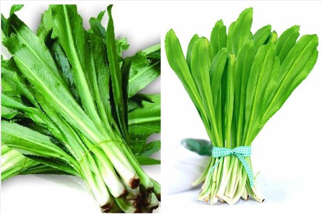 Mỗi lần nêm canh thêm một nắm rau này, hệ miễn dịch được 'kích hoạt' tối đa - Ảnh 1. Mỗi lần nêm canh thêm một nắm rau này, hệ miễn dịch được 'kích hoạt' tối đa - Ảnh 1.