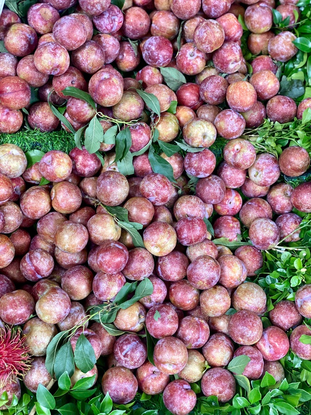 Mận hậu bán ngập thị trường, tiểu thương chỉ cách phân biệt mận Việt và mận Trung Quốc- Ảnh 5.