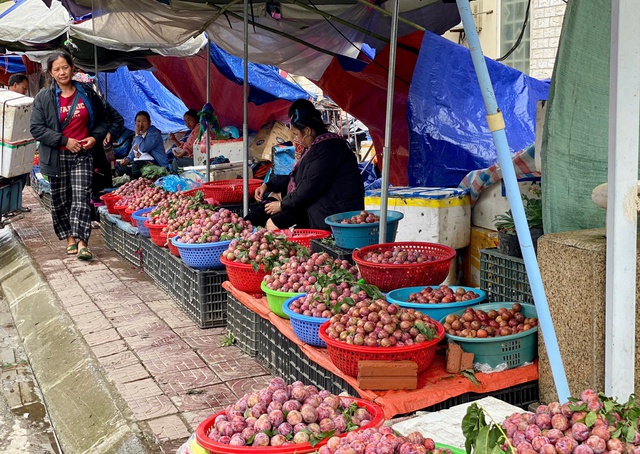 Mận hậu bán ngập thị trường, tiểu thương chỉ cách phân biệt mận Việt và mận Trung Quốc- Ảnh 2.