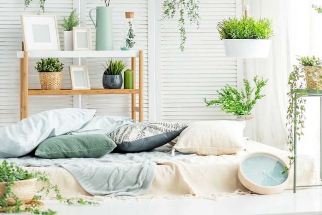 Bày trí sai các vật không nên để ở đầu giường dưới đây sẽ gây nên các tác động tiêu cực đến sức khỏe- Ảnh 2. Bày trí sai các vật không nên để ở đầu giường dưới đây sẽ gây nên các tác động tiêu cực đến sức khỏe- Ảnh 2.