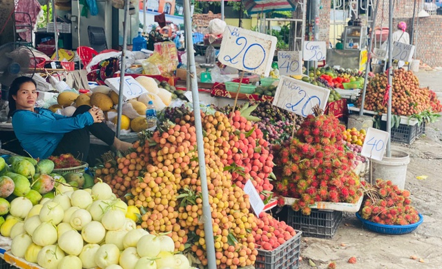 Loại quả đặc sản Việt đang vào mùa bán đầy chợ giá rẻ bèo, xuất nước ngoài lên tiền triệu/kg- Ảnh 1. Loại quả đặc sản Việt đang vào mùa bán đầy chợ giá rẻ bèo, xuất nước ngoài lên tiền triệu/kg- Ảnh 1.