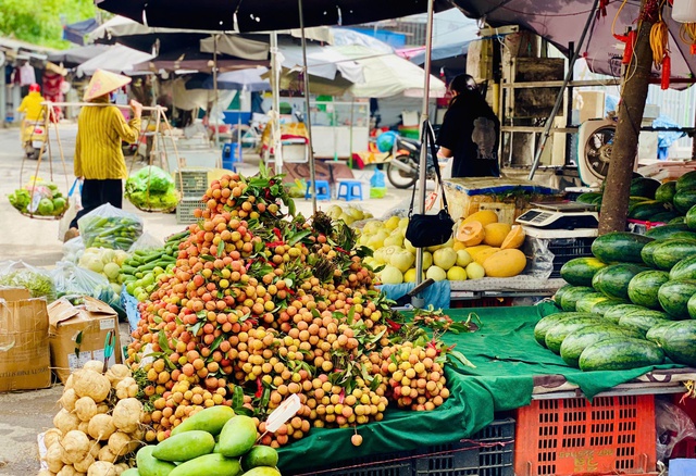 Loại quả đặc sản Việt đang vào mùa bán đầy chợ giá rẻ bèo, xuất nước ngoài lên tiền triệu/kg- Ảnh 3. Loại quả đặc sản Việt đang vào mùa bán đầy chợ giá rẻ bèo, xuất nước ngoài lên tiền triệu/kg- Ảnh 3.