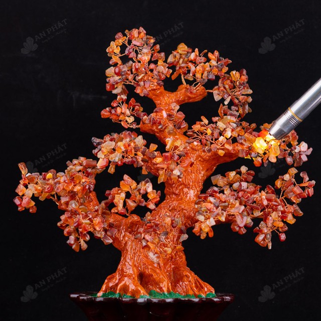 Cây tài lộc đá mã não đặt ở đâu trong nhà để thu hút tài lộc?- Ảnh 2. Cây tài lộc đá mã não đặt ở đâu trong nhà để thu hút tài lộc?- Ảnh 2.