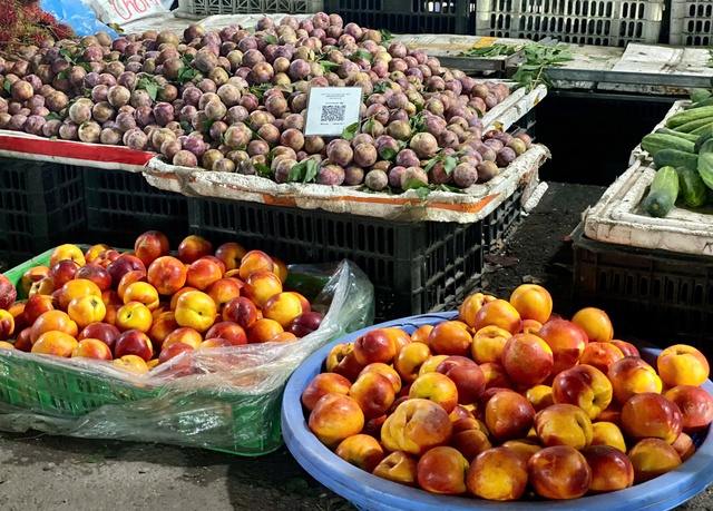 Thực hư về nguồn gốc của loại đào trơn đang bán tràn làn thị trường- Ảnh 3. Thực hư về nguồn gốc của loại đào trơn đang bán tràn làn thị trường- Ảnh 3.