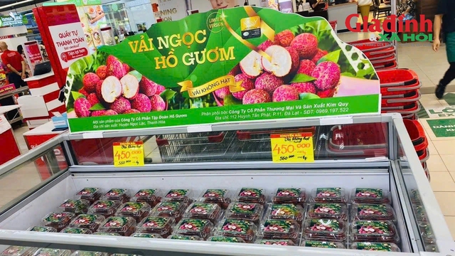 Loại vải giá bán hơn nửa triệu/kg: Cung không đủ cầu, dân Hà thành xếp hàng đợi mua- Ảnh 2. Loại vải giá bán hơn nửa triệu/kg: Cung không đủ cầu, dân Hà thành xếp hàng đợi mua- Ảnh 2.