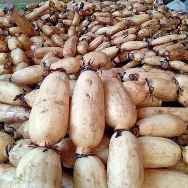 Loại củ bán đầy ngoài chợ vào mùa hè giúp ổn định huyết áp, tốt cho tim mạch, đem làm 3 món này càng bổ dưỡng- Ảnh 2. Loại củ bán đầy ngoài chợ vào mùa hè giúp ổn định huyết áp, tốt cho tim mạch, đem làm 3 món này càng bổ dưỡng- Ảnh 2.