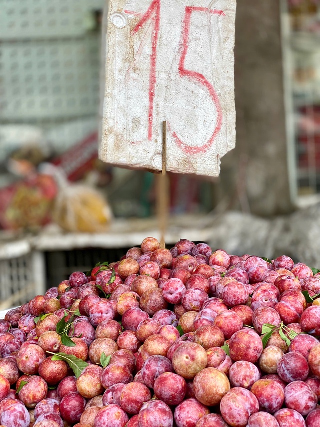 Mận hậu giảm giá sâu chỉ còn vài nghìn đồng/kg bán đổ đống đầy thị trường - Ảnh 8. Mận hậu giảm giá sâu chỉ còn vài nghìn đồng/kg bán đổ đống đầy thị trường - Ảnh 8.