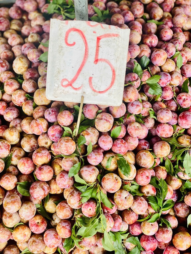 Mận hậu giảm giá sâu chỉ còn vài nghìn đồng/kg bán đổ đống đầy thị trường - Ảnh 9. Mận hậu giảm giá sâu chỉ còn vài nghìn đồng/kg bán đổ đống đầy thị trường - Ảnh 9.