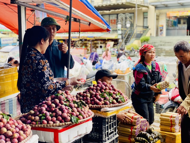 Mận hậu giảm giá sâu chỉ còn vài nghìn đồng/kg bán đổ đống đầy thị trường - Ảnh 2. Mận hậu giảm giá sâu chỉ còn vài nghìn đồng/kg bán đổ đống đầy thị trường - Ảnh 2.