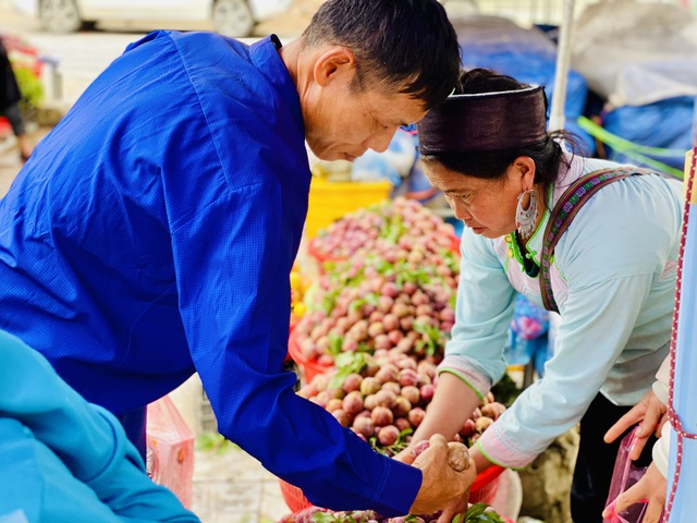 Mận hậu giảm giá sâu chỉ còn vài nghìn đồng/kg bán đổ đống đầy thị trường - Ảnh 7. Mận hậu giảm giá sâu chỉ còn vài nghìn đồng/kg bán đổ đống đầy thị trường - Ảnh 7.