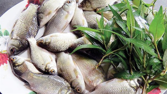 Muốn nấu được cháo cá diếc ngon, mềm ngọt, nhất định phải có loại rau này- Ảnh 3. Muốn nấu được cháo cá diếc ngon, mềm ngọt, nhất định phải có loại rau này- Ảnh 3.
