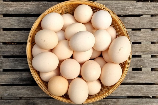 bynature-why-free-range-eggs-blog-17491994515342026830070.jpg