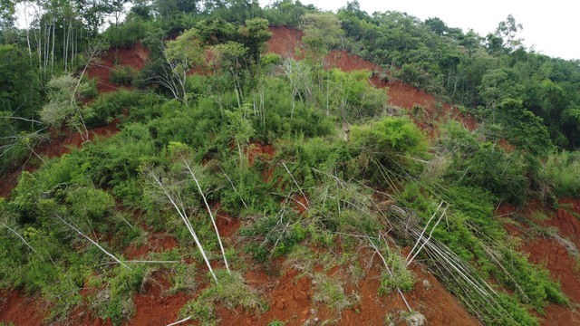 dji0723-1749204809519990080598.jpg