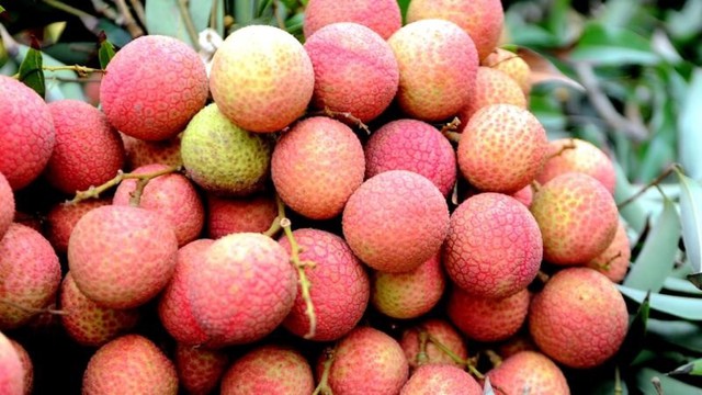Thời điểm ăn quả vải mang lại nhiều công dụng tốt nhất- Ảnh 2.