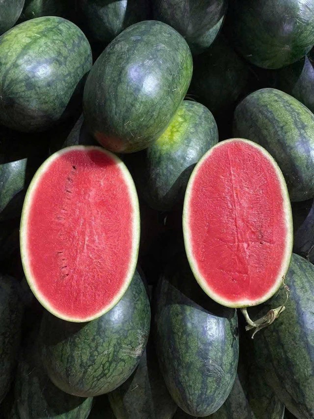 Tiểu thương lý giải nguyên nhân dưa hấu bán tràn ngập thị trường giá chỉ 5.000 đồng/kg, - Ảnh 3. Tiểu thương lý giải nguyên nhân dưa hấu bán tràn ngập thị trường giá chỉ 5.000 đồng/kg, - Ảnh 3.