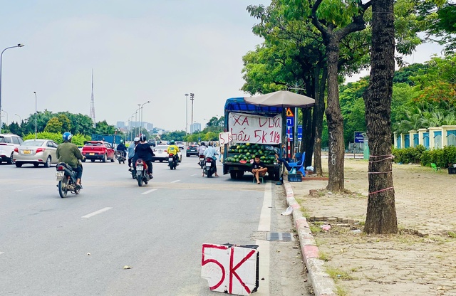 Tiểu thương lý giải nguyên nhân dưa hấu bán tràn ngập thị trường giá chỉ 5.000 đồng/kg, - Ảnh 5. Tiểu thương lý giải nguyên nhân dưa hấu bán tràn ngập thị trường giá chỉ 5.000 đồng/kg, - Ảnh 5.
