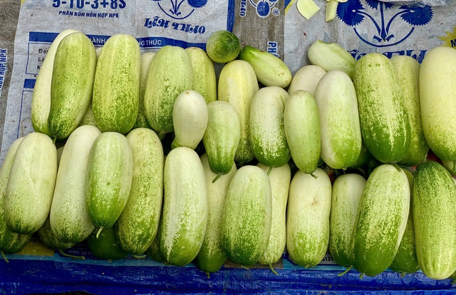 Loại dưa chuột ‘khủng’ cả kg/quả, đặc sản vùng Tây Bắc được chị em thi nhau săn đón - Ảnh 3.