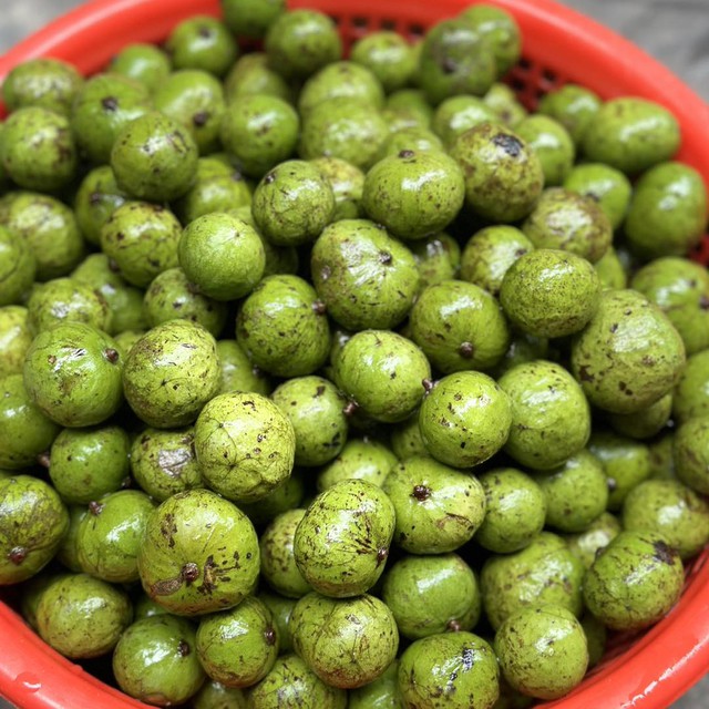 Sấu vào mùa giá chỉ từ 15.000 đồng/kg, đây là thời điểm mua sấu ngon nhất và cách chọn sấu ngon- Ảnh 4.