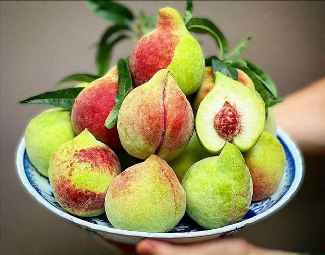 Đào mỏ quạ vào mùa giá siêu rẻ, cách đơn giản để chị em rủ nhau ‘săn’ hàng ngon, tránh hàng Trung Quốc- Ảnh 5. Đào mỏ quạ vào mùa giá siêu rẻ, cách đơn giản để chị em rủ nhau ‘săn’ hàng ngon, tránh hàng Trung Quốc- Ảnh 5.