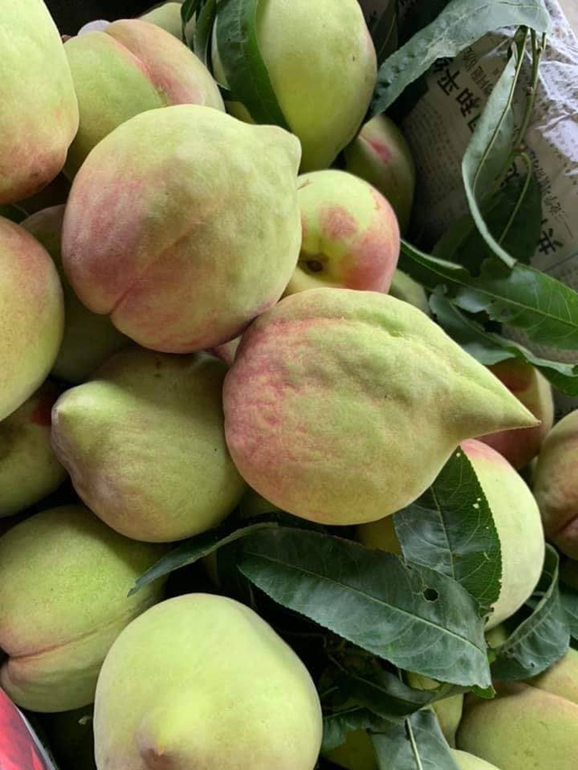Đào mỏ quạ vào mùa giá siêu rẻ, cách đơn giản để chị em rủ nhau ‘săn’ hàng ngon, tránh hàng Trung Quốc- Ảnh 3. Đào mỏ quạ vào mùa giá siêu rẻ, cách đơn giản để chị em rủ nhau ‘săn’ hàng ngon, tránh hàng Trung Quốc- Ảnh 3.
