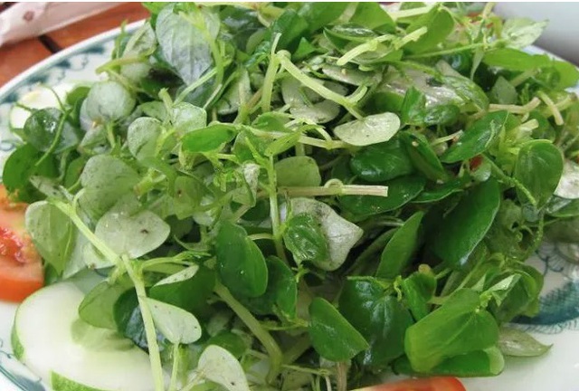 Loại rau mùa hè mọc dại đầy ở làng quê Việt, người bệnh tiểu đường nên ăn để kéo dài tuổi thọ- Ảnh 2. Loại rau mùa hè mọc dại đầy ở làng quê Việt, người bệnh tiểu đường nên ăn để kéo dài tuổi thọ- Ảnh 2.