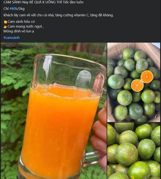 Loại quả ‘quốc dân’ giàu vitamin C bán đầy chợ Việt giá rẻ bèo, chỉ hơn chục nghìn đồng/kg - Ảnh 6. Loại quả ‘quốc dân’ giàu vitamin C bán đầy chợ Việt giá rẻ bèo, chỉ hơn chục nghìn đồng/kg - Ảnh 6.