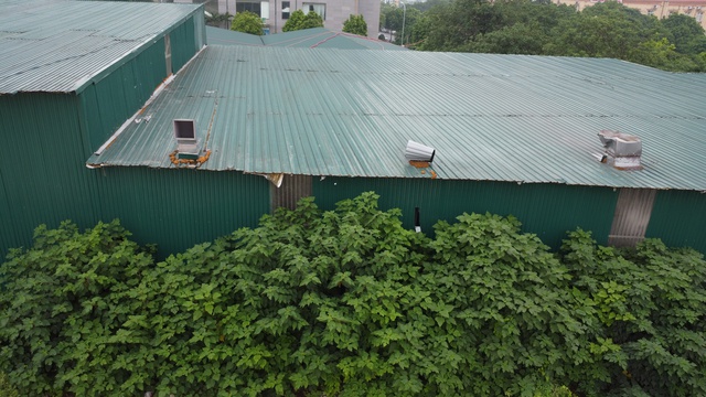 dji0019-17525581697031800010967.jpg