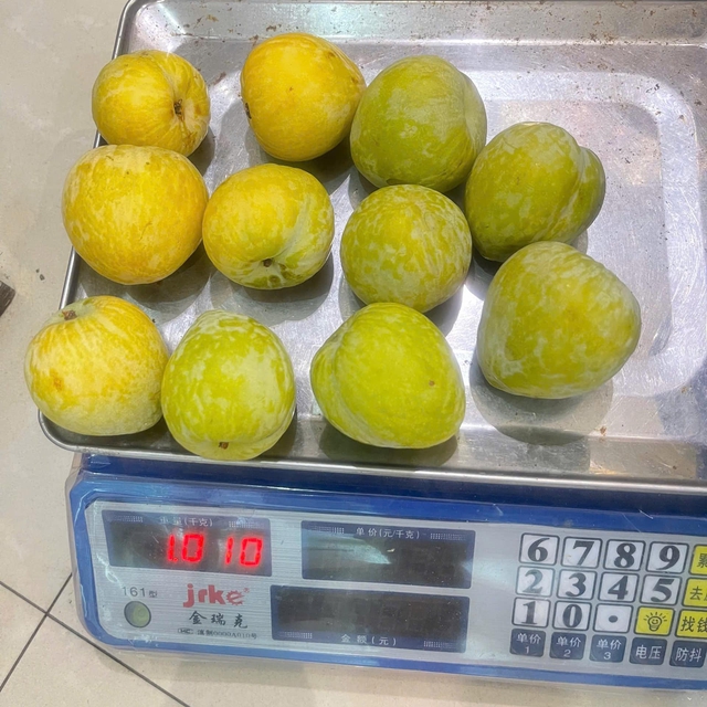 Một loại mận của Trung Quốc có giá vài trăm nghìn đồng/kg đổ bộ thị trường quả Việt được chị em săn đón- Ảnh 2.