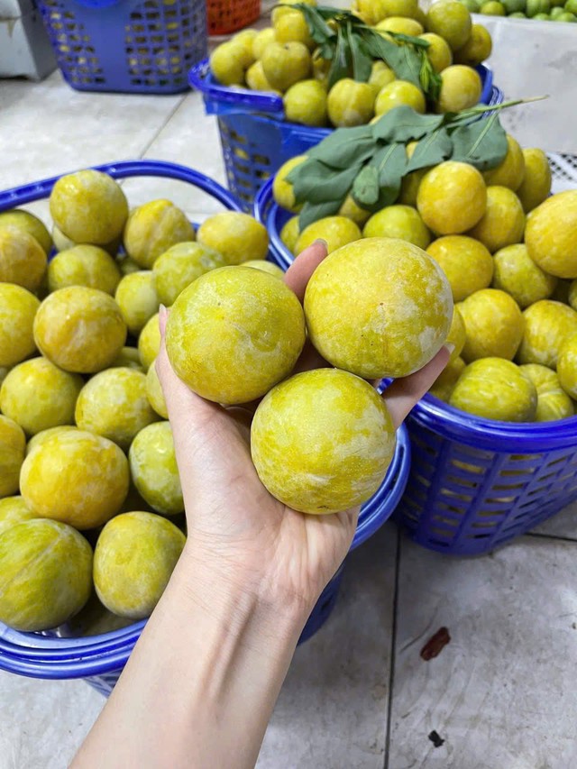 Một loại mận của Trung Quốc có giá vài trăm nghìn đồng/kg đổ bộ thị trường quả Việt được chị em săn đón- Ảnh 7.