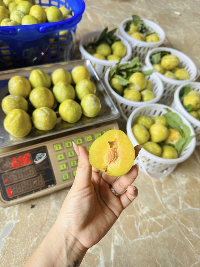 Một loại mận của Trung Quốc có giá vài trăm nghìn đồng/kg đổ bộ thị trường quả Việt được chị em săn đón- Ảnh 9.