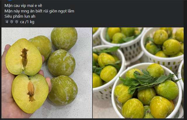 Một loại mận của Trung Quốc có giá vài trăm nghìn đồng/kg đổ bộ thị trường quả Việt được chị em săn đón- Ảnh 3.