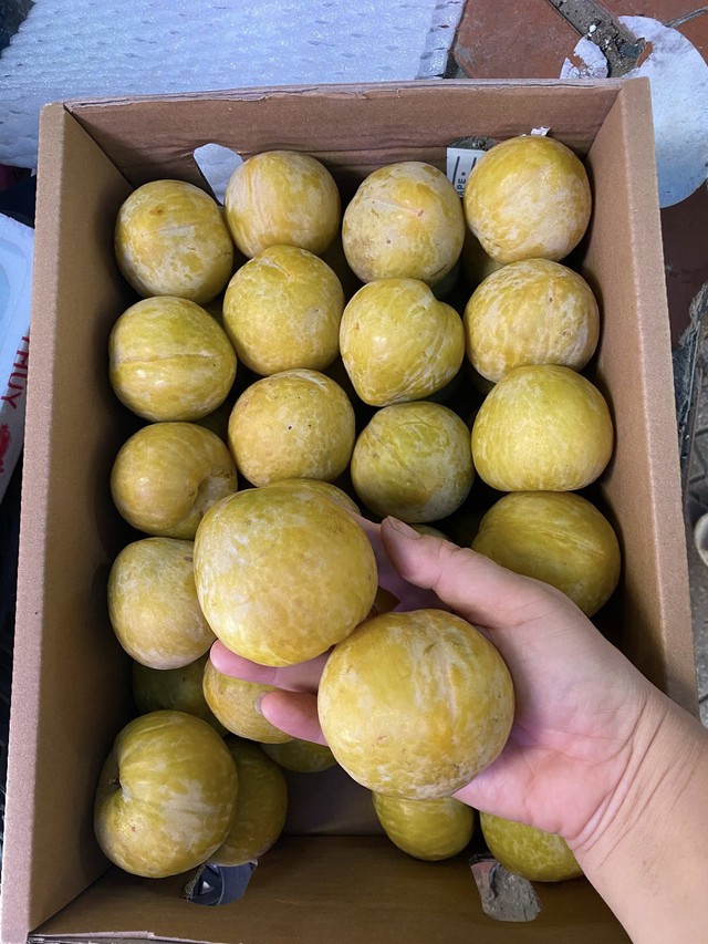 Một loại mận của Trung Quốc có giá vài trăm nghìn đồng/kg đổ bộ thị trường quả Việt được chị em săn đón- Ảnh 8.