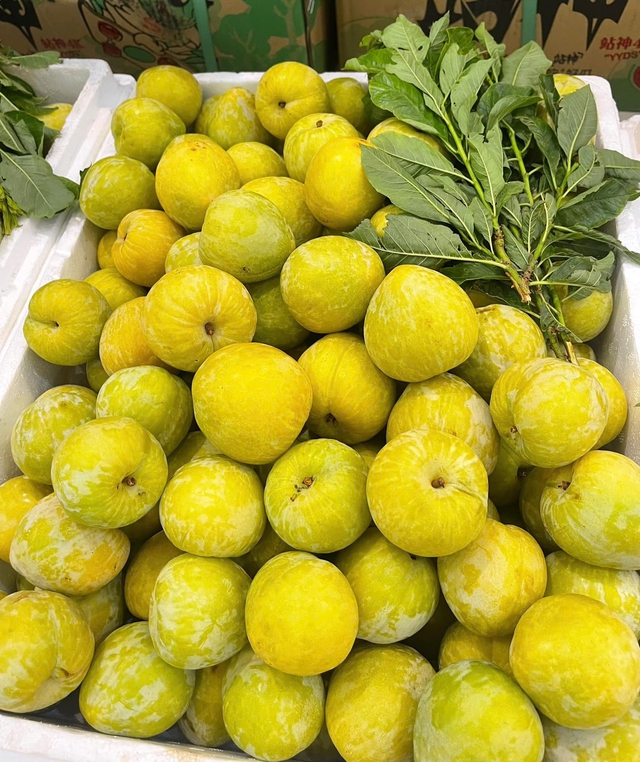 Một loại mận của Trung Quốc có giá vài trăm nghìn đồng/kg đổ bộ thị trường quả Việt được chị em săn đón- Ảnh 6.