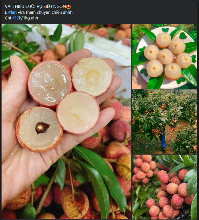 Vải thiều vào cuối vụ, người tiêu dùng tranh thủ mua dự trữ trước khi hết mùa- Ảnh 4. Vải thiều vào cuối vụ, người tiêu dùng tranh thủ mua dự trữ trước khi hết mùa- Ảnh 4.