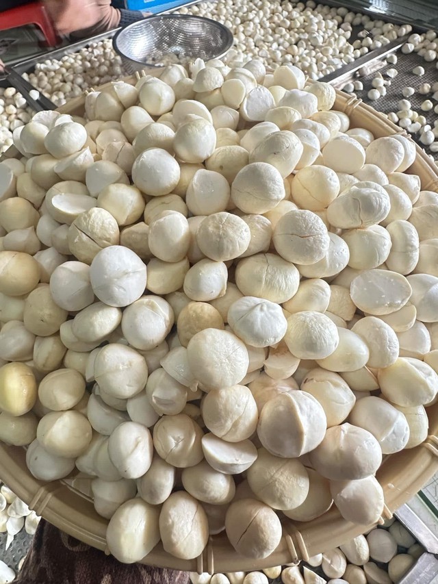 4 món ngon dễ làm từ 'nữ hoàng' của các loại hạt tốt cho tim mạch, tuổi thọ vừa dễ làm lại lạ miệng - Ảnh 2. 4 món ngon dễ làm từ 'nữ hoàng' của các loại hạt tốt cho tim mạch, tuổi thọ vừa dễ làm lại lạ miệng - Ảnh 2.