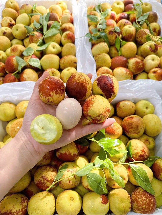Một loại quả của Trung Quốc được người tiêu dùng Việt không tiếc tiền mua dù giá đắt đỏ- Ảnh 10. Một loại quả của Trung Quốc được người tiêu dùng Việt không tiếc tiền mua dù giá đắt đỏ- Ảnh 10.