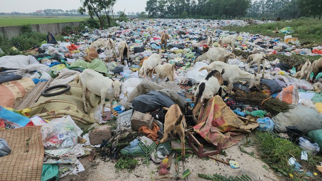 Rác thải phơi nắng, chờ ngày xử lý: Bức tranh đáng lo ngại tại một số xã, phường ở Ninh Bình - Ảnh 6. Rác thải phơi nắng, chờ ngày xử lý: Bức tranh đáng lo ngại tại một số xã, phường ở Ninh Bình - Ảnh 6.
