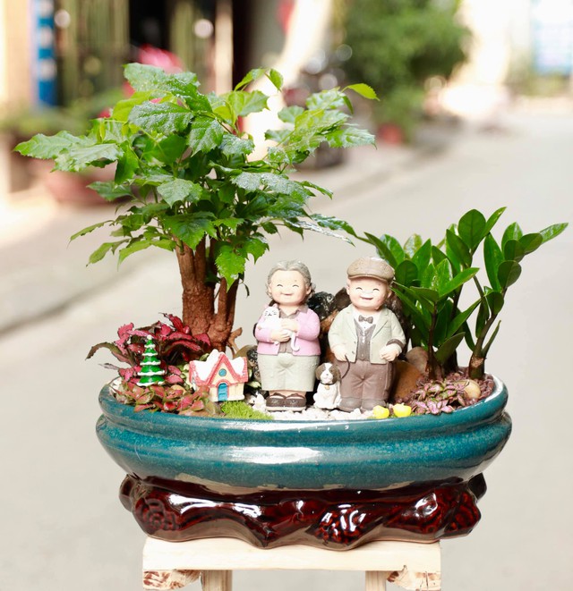 Tiểu cảnh mini trong nhà mang đến những lợi ích gì? - Ảnh 2. Tiểu cảnh mini trong nhà mang đến những lợi ích gì? - Ảnh 2.