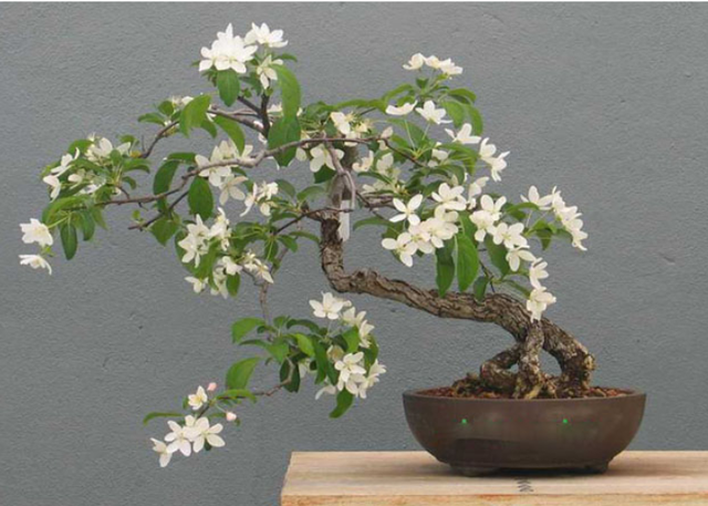 Tháng 6 nhuận là thời gian được 'tặng thêm', tận dụng làm vài việc đơn giản sau để đón tháng 'cô hồn' được cát lành- Ảnh 2. Tháng 6 nhuận là thời gian được 'tặng thêm', tận dụng làm vài việc đơn giản sau để đón tháng 'cô hồn' được cát lành- Ảnh 2.