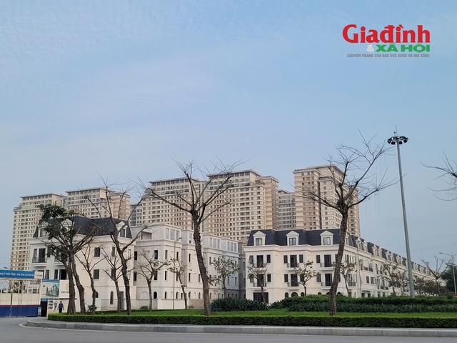 Đề xuất thuế chuyển nhượng bất động sản 20% trên lãi: Gánh nặng thuế đẩy sang người mua, dẫn đến áp lực tăng giá nhà- Ảnh 3. Đề xuất thuế chuyển nhượng bất động sản 20% trên lãi: Gánh nặng thuế đẩy sang người mua, dẫn đến áp lực tăng giá nhà- Ảnh 3.