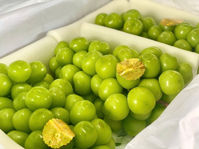 Nho sữa Trung Quốc đổ bộ thị trường, giá vài chục nghìn đồng/kg “phủ sóng” chợ Việt - Ảnh 6.