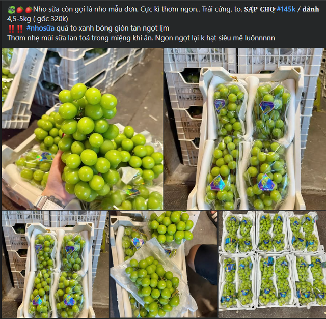 Nho sữa Trung Quốc đổ bộ thị trường, giá vài chục nghìn đồng/kg “phủ sóng” chợ Việt - Ảnh 4.