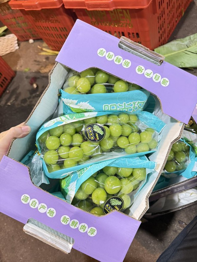 Nho sữa Trung Quốc đổ bộ thị trường, giá vài chục nghìn đồng/kg “phủ sóng” chợ Việt - Ảnh 7.