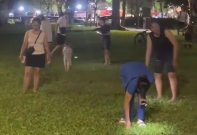 Du khách nước ngoài đánh rơi nhẫn quý, người dân Huế vạch cỏ tìm giúp- Ảnh 1. Du khách nước ngoài đánh rơi nhẫn quý, người dân Huế vạch cỏ tìm giúp- Ảnh 1.