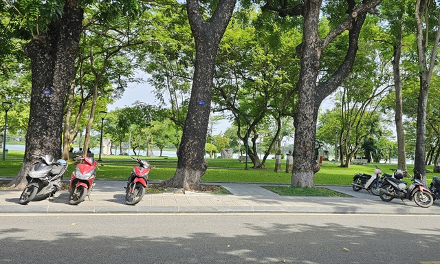 Du khách nước ngoài đánh rơi nhẫn quý, người dân Huế vạch cỏ tìm giúp- Ảnh 2. Du khách nước ngoài đánh rơi nhẫn quý, người dân Huế vạch cỏ tìm giúp- Ảnh 2.