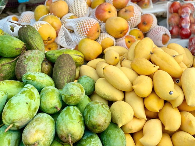 Tiểu thương tiết lộ về nguồn gốc của loại xoài vàng ươm, thơm nức đang bán đầy chợ Việt - Ảnh 7. Tiểu thương tiết lộ về nguồn gốc của loại xoài vàng ươm, thơm nức đang bán đầy chợ Việt - Ảnh 7.