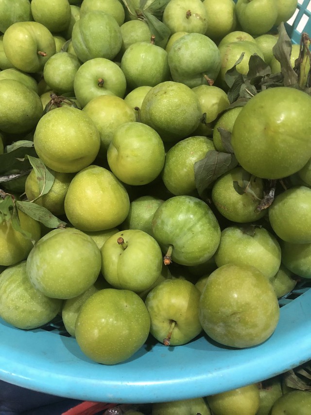 Thực hư về nguồn gốc loại mận róc hạt đang bán đầy thị trường - Ảnh 5. Thực hư về nguồn gốc loại mận róc hạt đang bán đầy thị trường - Ảnh 5.