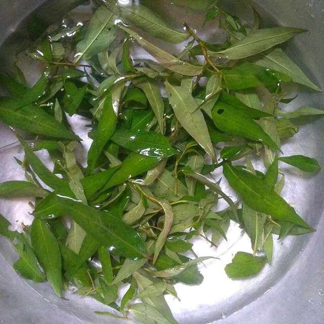 Đây mới là cách làm món đậu phụ hấp rau răm siêu lạ, dân dã, ngon khó tả- Ảnh 2. Đây mới là cách làm món đậu phụ hấp rau răm siêu lạ, dân dã, ngon khó tả- Ảnh 2.
