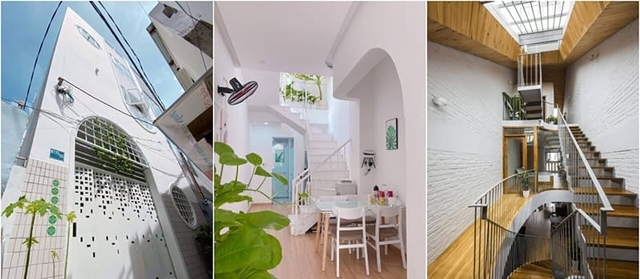 C&aacute;ch h&oacute;a giải đất đầu voi đu&ocirc;i chuột để giữ vượng kh&iacute;, tr&aacute;nh hao t&agrave;i - Ảnh 4.